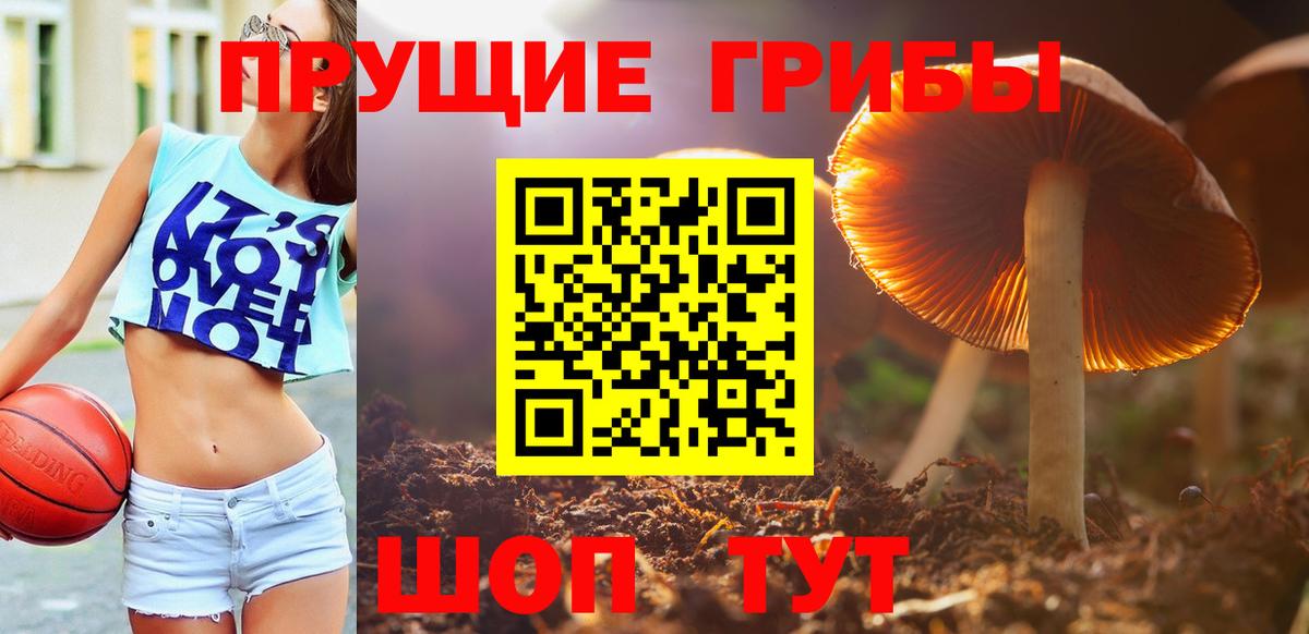 Псилоцибиновые грибы Psilocybine cubensis  Вход с VPN  Аргун  Псилоцибиновые грибы Psilocybine cubensis 