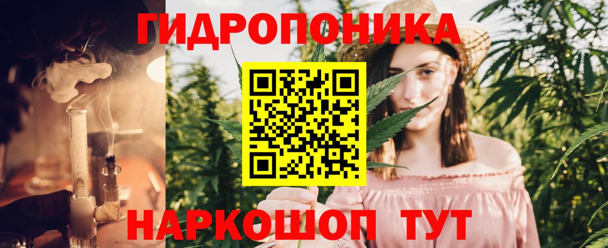МАРИХУАНА Amnesia  Вход с VPN  Бошки марихуана Ganja  Аргун 
